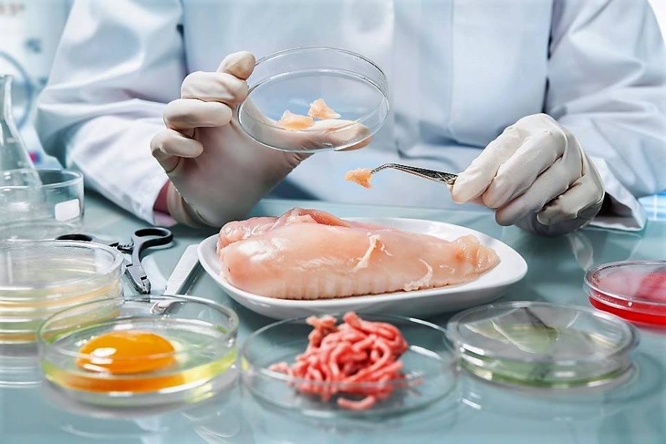 Що таке мікробіологічний аналіз харчових продуктів і де його провести